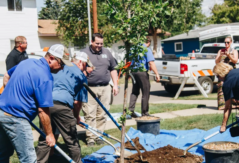 A group of people shovel soil into a hole to plant a tree