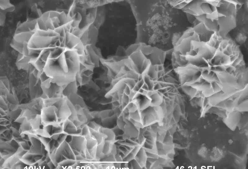 Magnesium hydroxide crystals