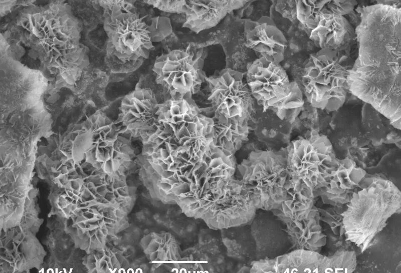 Magnesium hydroxide crystals