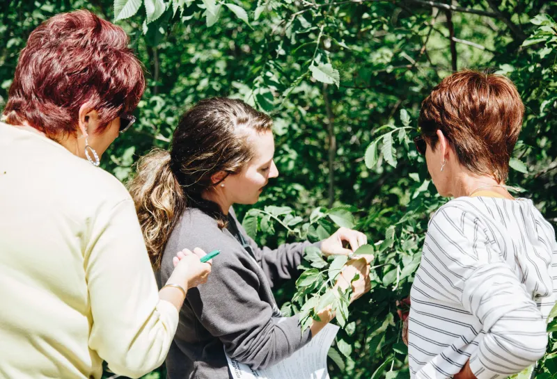 A woman with a ponytail shows two other women how to identify a tree
