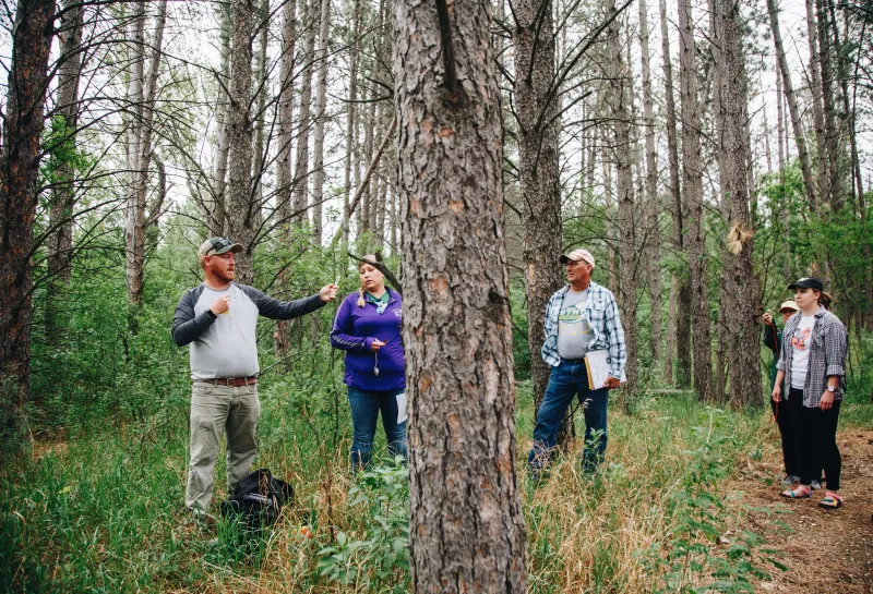 A man in a baseball cap discusses forest management tools in a forest