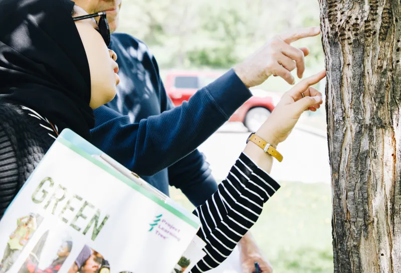 A woman with a head scarf and a man with sunglasses point to holes in the trunk of a tree