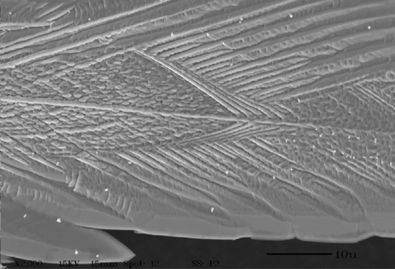 Silver sulfide crystals