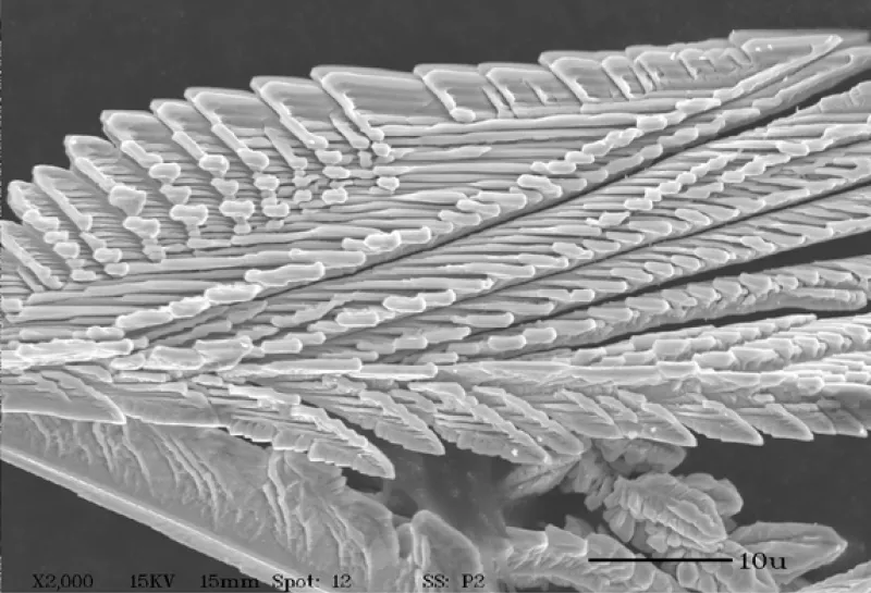 Silver sulfide crystals