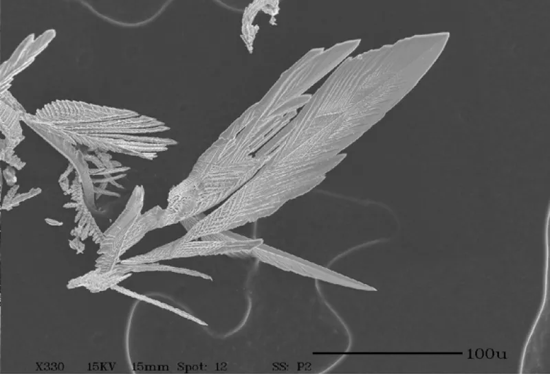 Silver sulfide crystals