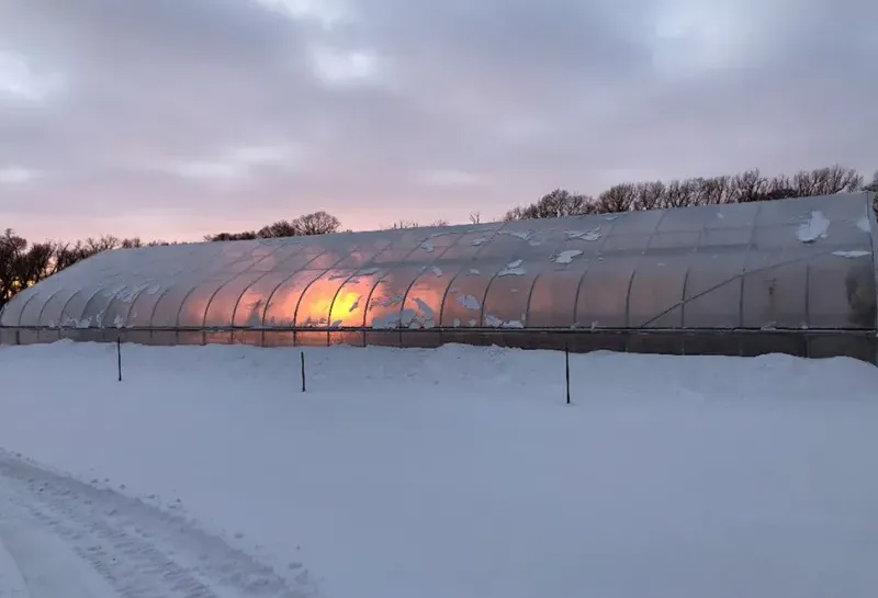 Sun shining through high tunnel at Hort Research Farm in the winter