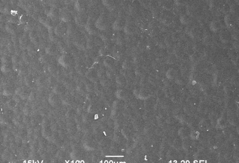 electron microscope image of paper