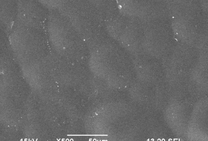 electron microscope image of paper