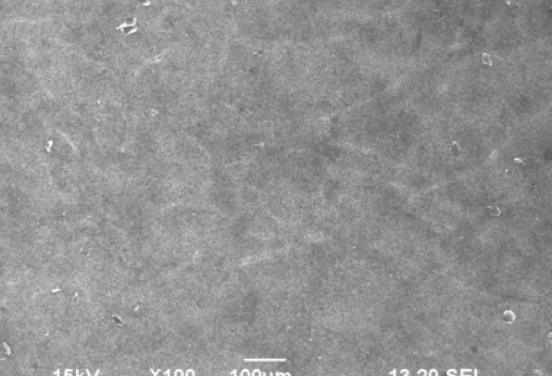 electron microscope image of paper