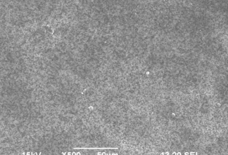 electron microscope image of paper