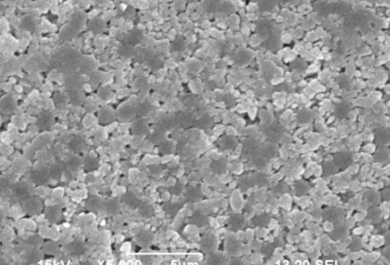 electron microscope image of paper