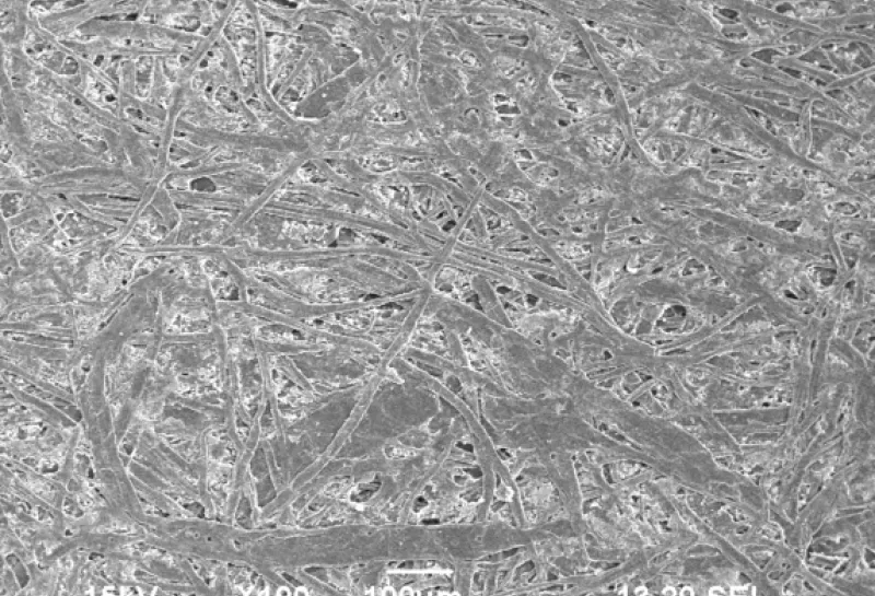 electron microscope image of paper