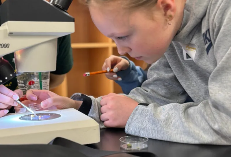 Young girl looking at slides in a microscope at STEM event