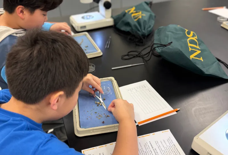 young boy taking apart shell of a bee at STEM event