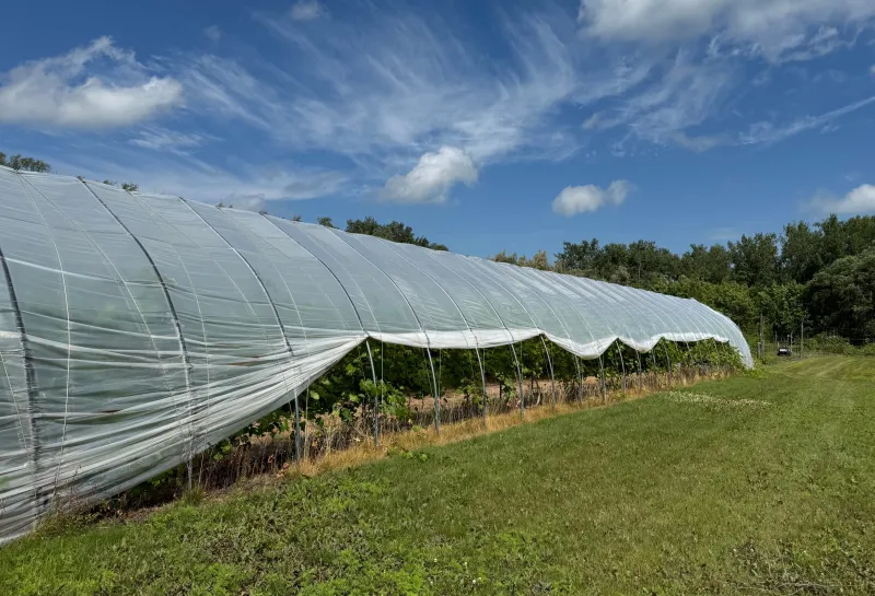 Hoop House at NDSU Hort Farm