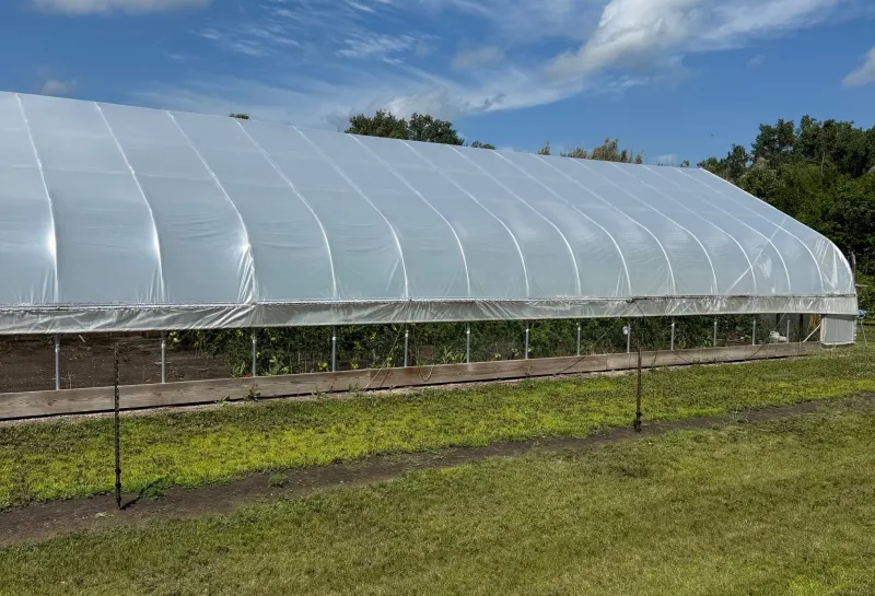 High Tunnel at NDSU Hort Farm