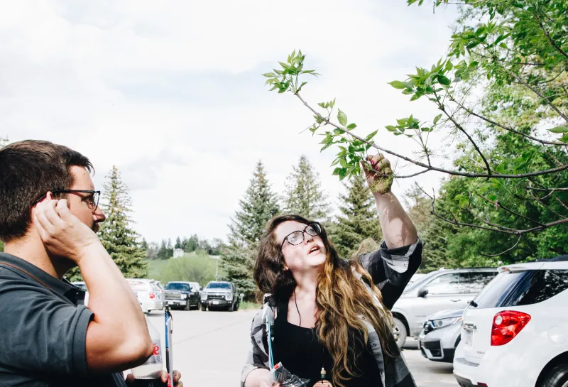 A woman looks at a tree's leaves to identify it to a man