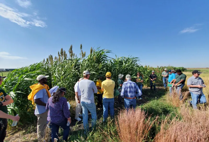 Cover Crops, Forages, and Intercropping Field Day