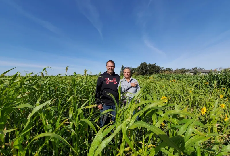 Cover Crops, Forages, and Intercropping Field Day