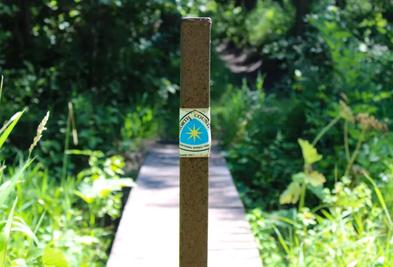 A pole with the North Country Trail symbol on it leading to a trail