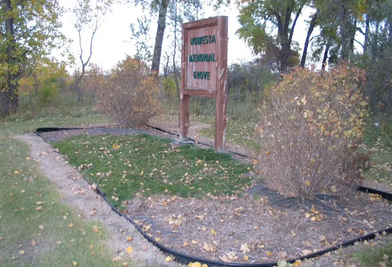 A sign in a grove of trees and shrubs