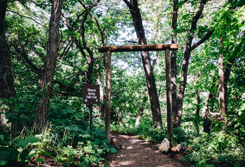 An archway in a forest that shows a trailhead