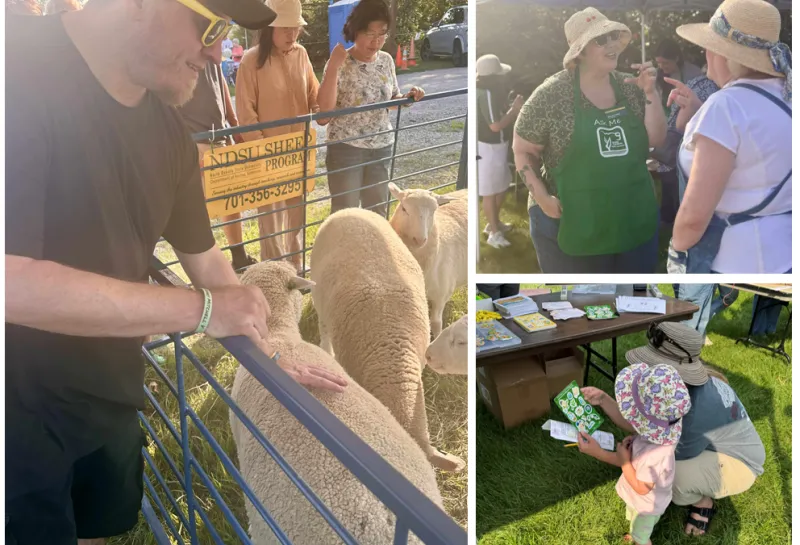 man pets lamb, friends converse
