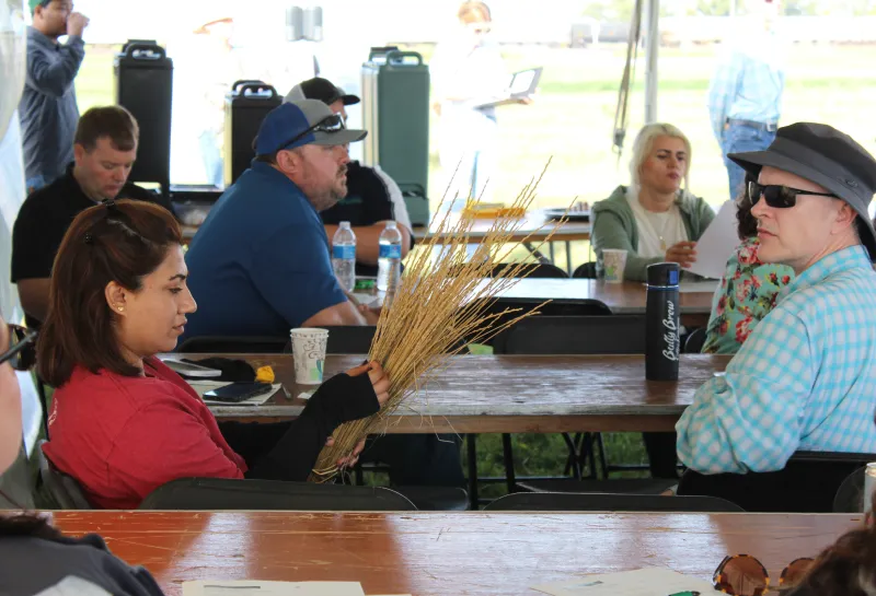 Cover Crop, Intercropping, Soil Health
