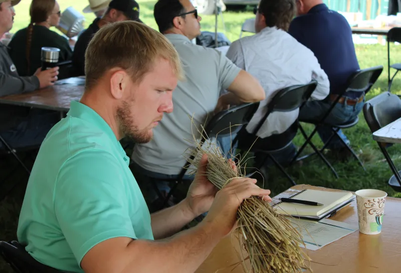 Cover Crop, Intercropping, Soil Health
