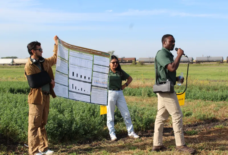 Cover Crop, Intercropping, Soil Health