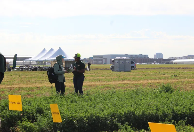 Cover Crop, Intercropping, Soil Health