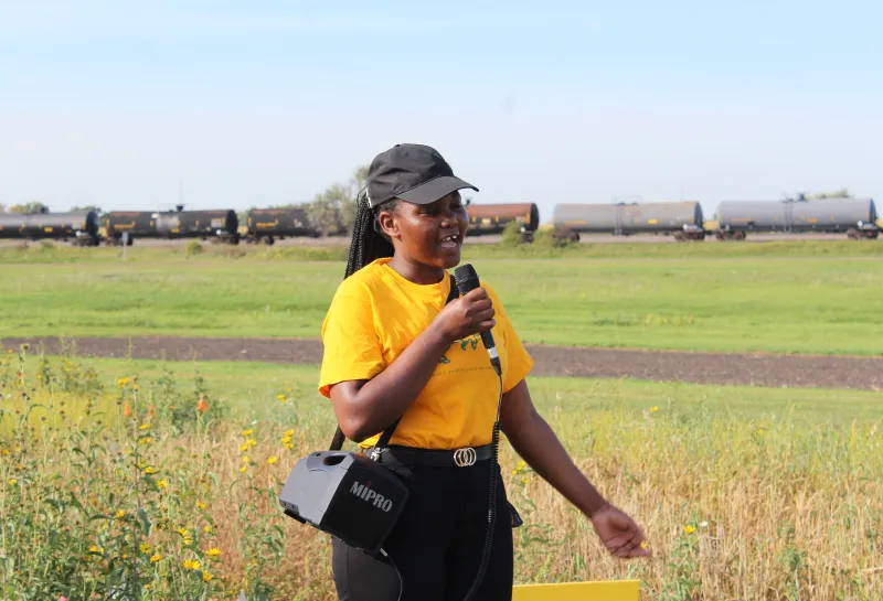 Cover Crop, Intercropping, Soil Health