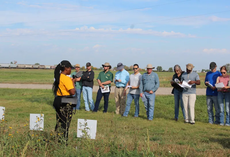 Cover Crop, Intercropping, Soil Health