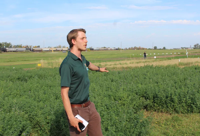 Cover Crop, Intercropping, Soil Health