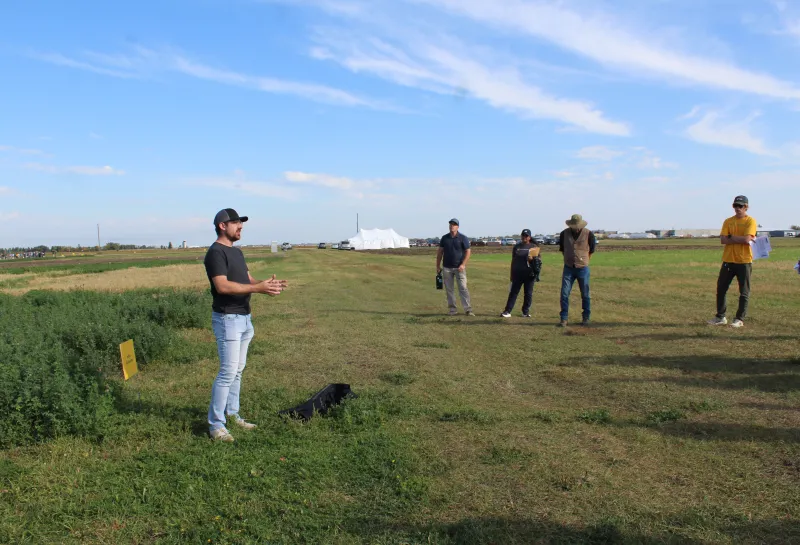 Cover Crop, Intercropping, Soil Health