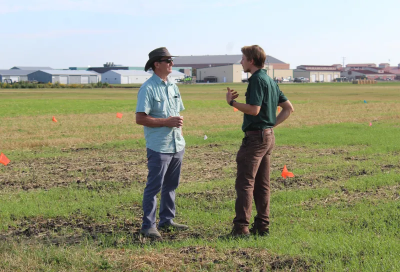 Cover Crop, Intercropping, Soil Health