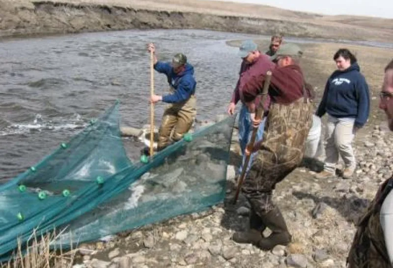 Field sampling with students.