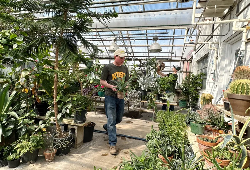 student in NDSU greenhouse with plants