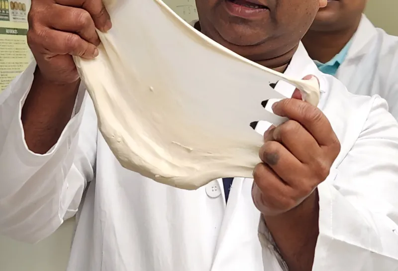 Dr. SHahidul Islam showing the window-pane structure of dough to students during lab demonstration