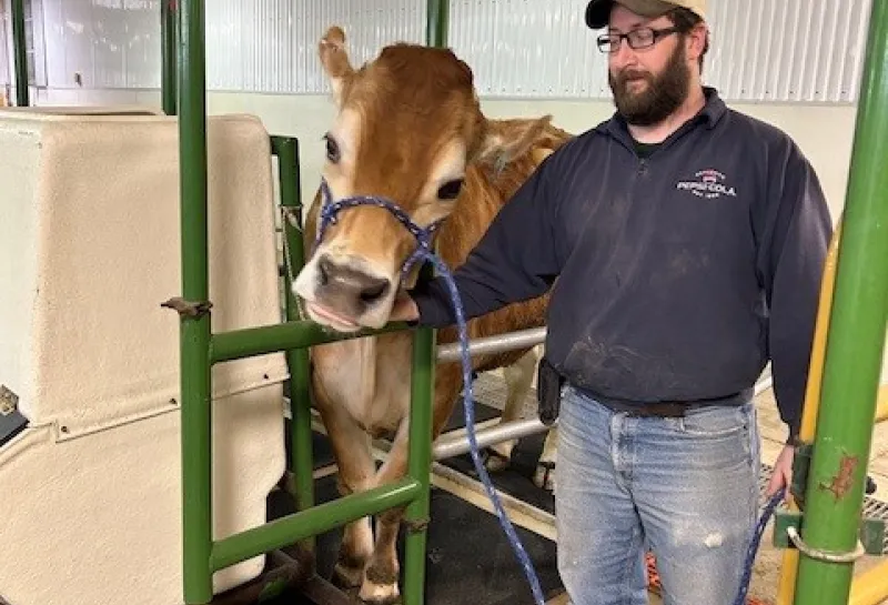 Justin and cow at ANPC