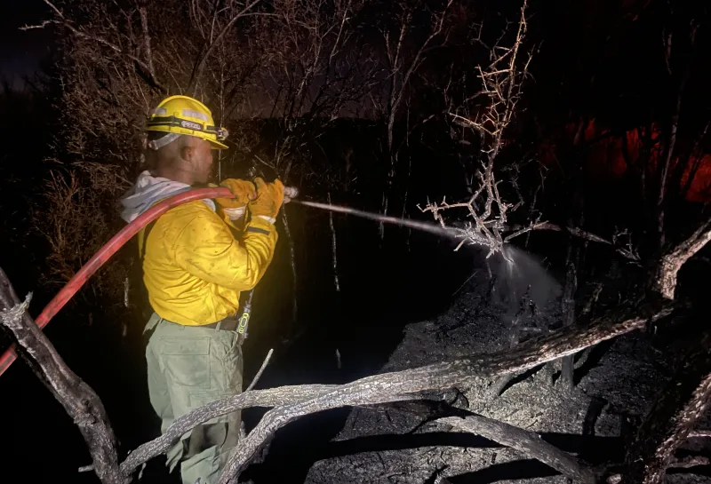 A wildland firefighter uses a hose to extinguish charred plant materials from a fire.