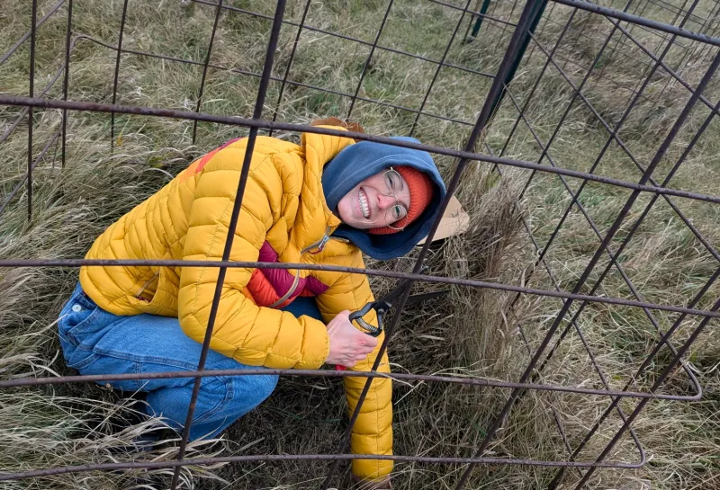 Sallie Sherman clipping cages