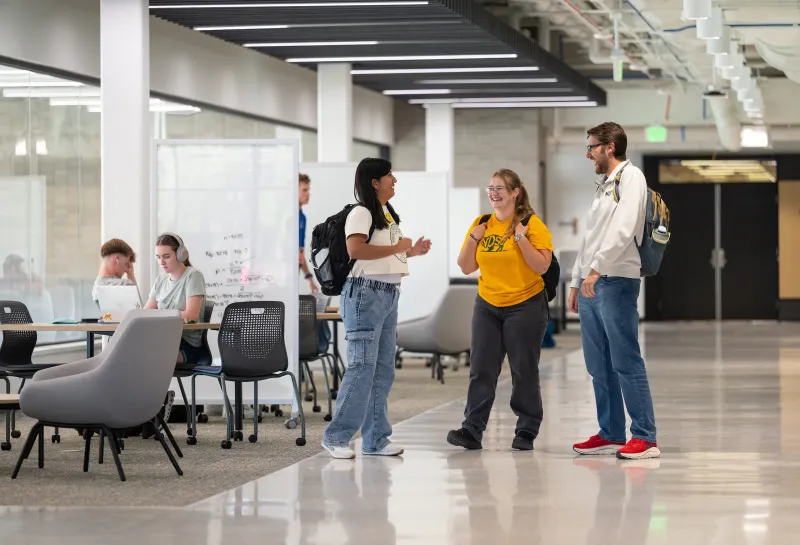 students talking in offerdahl hall
