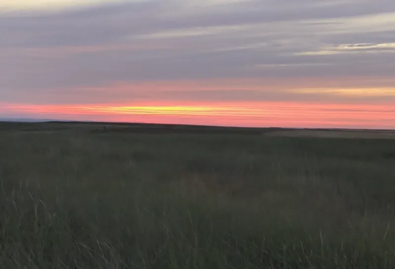 Sunset and grassy field.