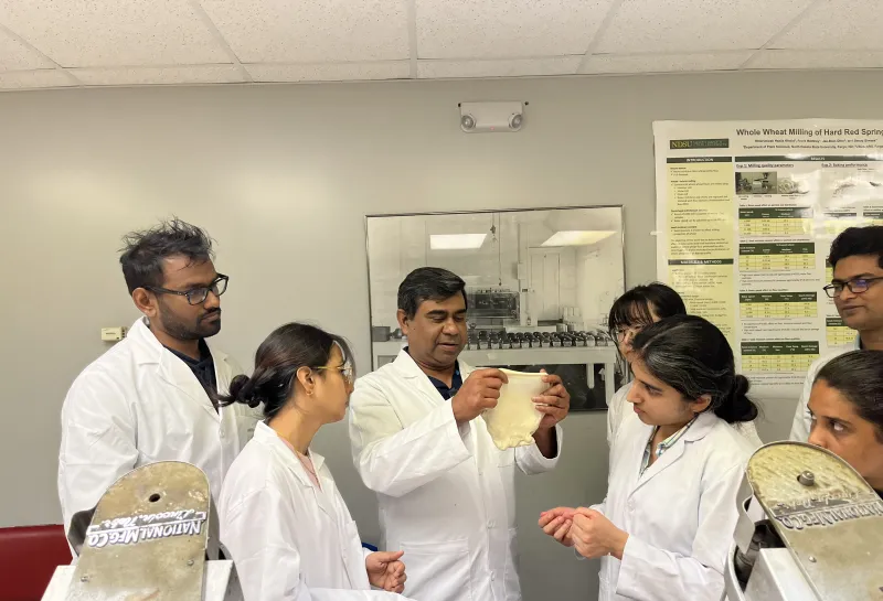 Dr. SHahidul Islam showing the window-pane structure of dough to students during lab demonstration