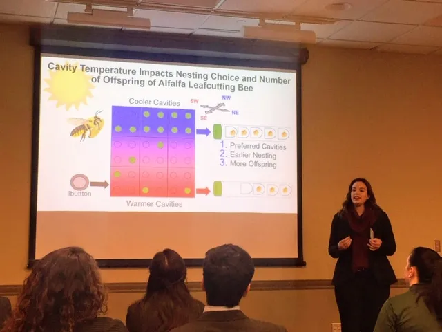 elisabeth wilson presenting at three minute thesis