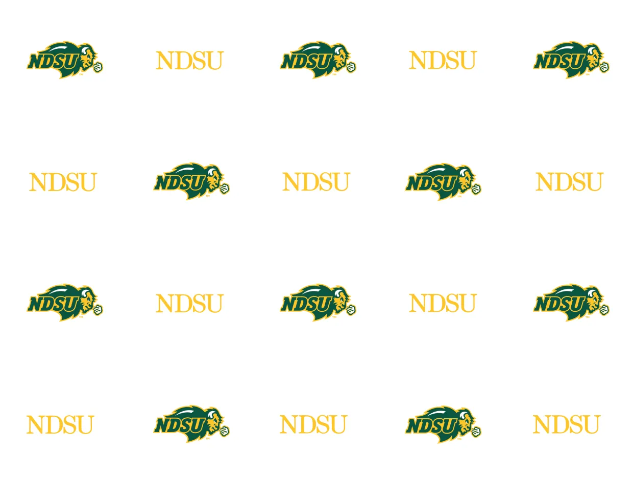 NDSU Quarter Sheet Cake Design Template 1