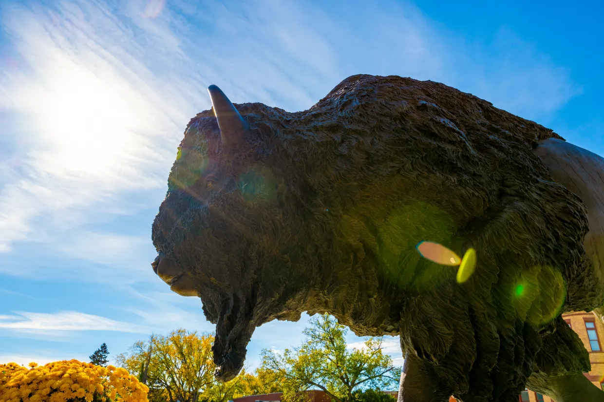 Bison statue on a fall day with the sun shining down