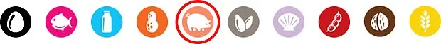 Pork circled icon line
