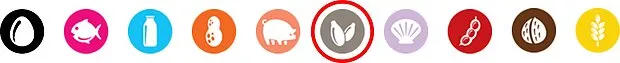 sesame allergen icon circled